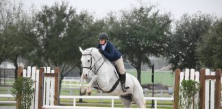 I Quit the Career I Chose to Pay for Horses