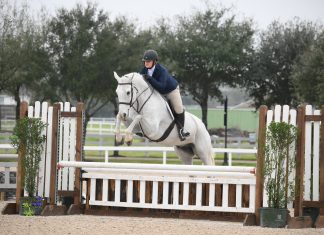 I Quit the Career I Chose to Pay for Horses