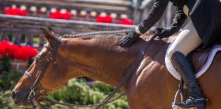10 Ways USEF Can Prove They’re Serious About Change