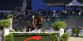 On Dicoblue PS, Victoria Colvin Makes History Winning USHJA International Hunter Derby Championship