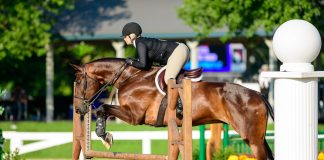 Why Every Rider Should Train Like an Equitation Rider
