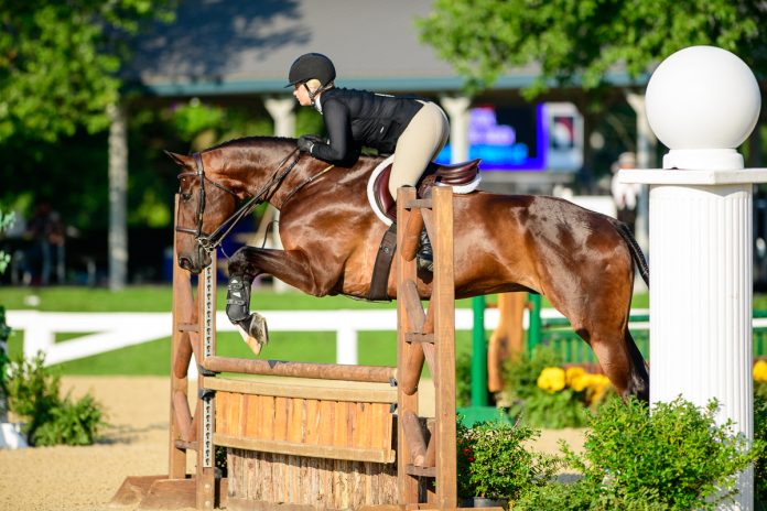 equitation