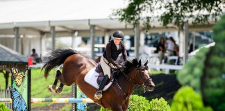 Breaking Free from the Equestrian Perfection Trap Photo © Heather N. Photography