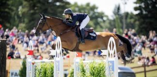 Origa vh Zuid-Pajottenland and Adrienne Sternlicht Star in RBC $340,000 Grand Prix CSI5* at Wesley Clover Parks