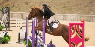 Elasticity Is Wasted on the Young: Air Time and Other Adventures at 56