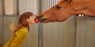 The Plaid Horse Questionnaire With: Irene Neuwirth