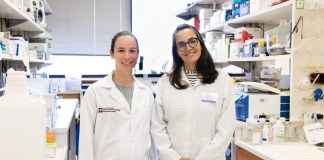 Research Unveils Complex Gut-Lung Interactions That Protect Foals From Pneumonia