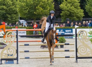 Trainer Tuesday: How would you help a rider who struggles with measuring and riding through in-and-outs or combinations?
