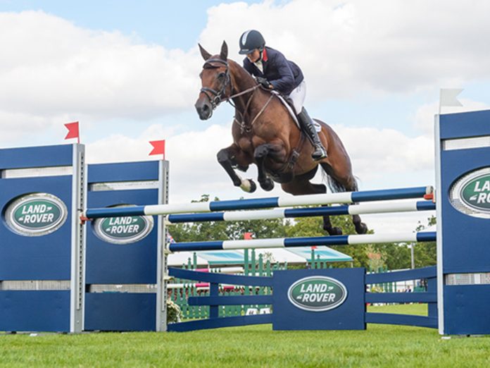 Discover UK Sport Horses with Whickr