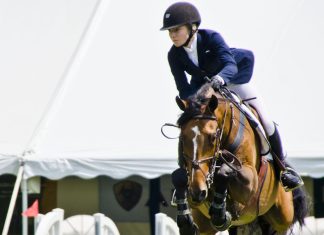 Trainer Tuesday: When would you describe a horse as “careful” over the jumps, and can you train jump awareness, or is it instinct?