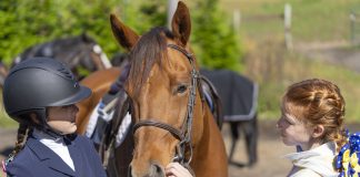 Parents, Pressure, and Boundaries: Lessons from a Trainer & Psychologist