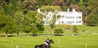 Virginia’s Horse Industry Board