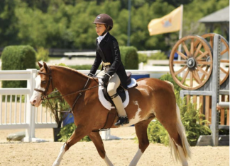 What Riding Green Ponies Taught Young Rider Harlow Bottarini