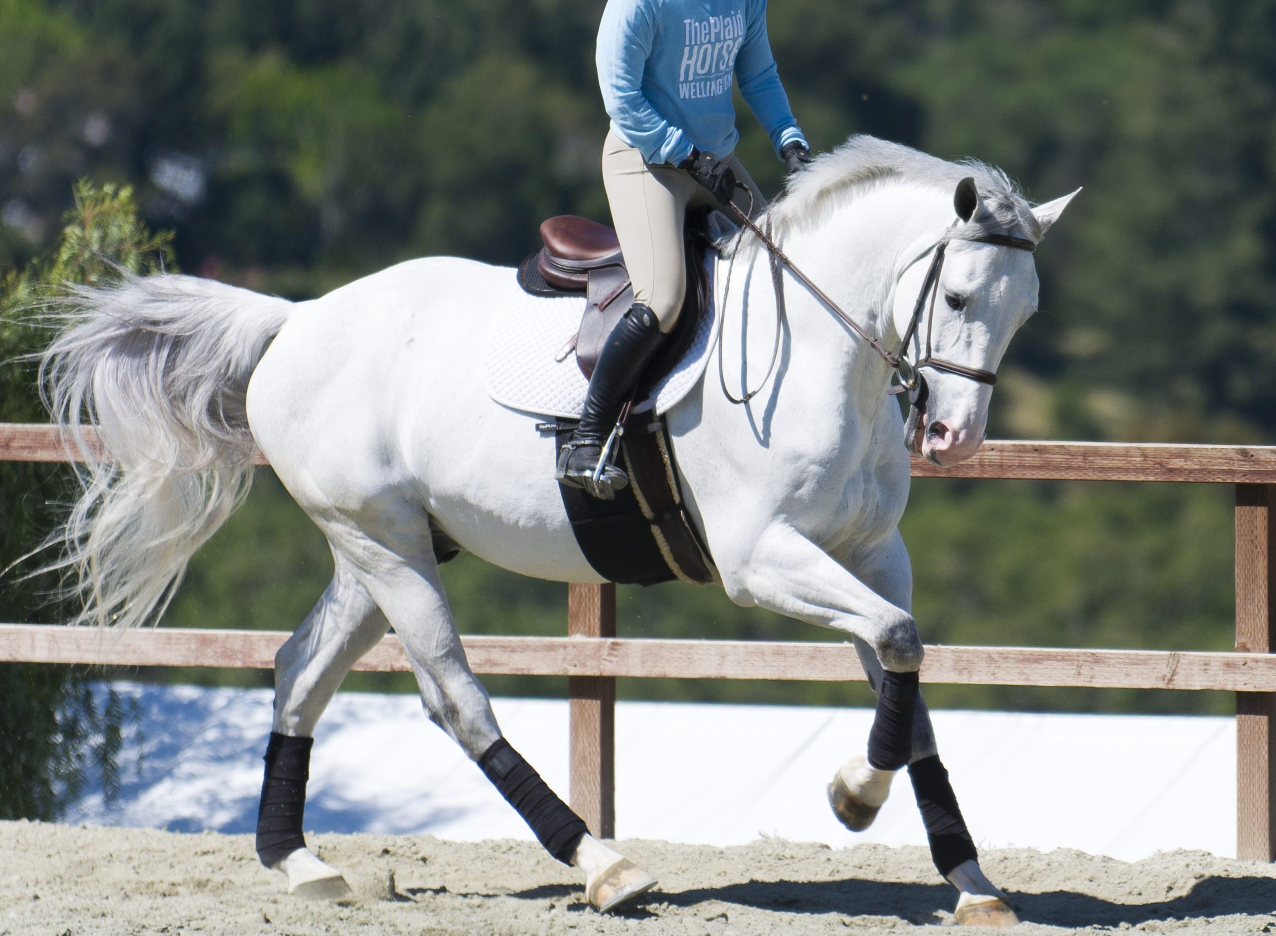 Trainer Tuesday: How can you help a rider who equates speed with stride ...