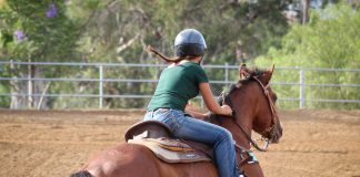 How to Turn the Horse Riding Journey Into Engaging TikTok Content