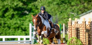 Equitation Is More Than a Division: Why Balance and Form Matter for Every Rider
