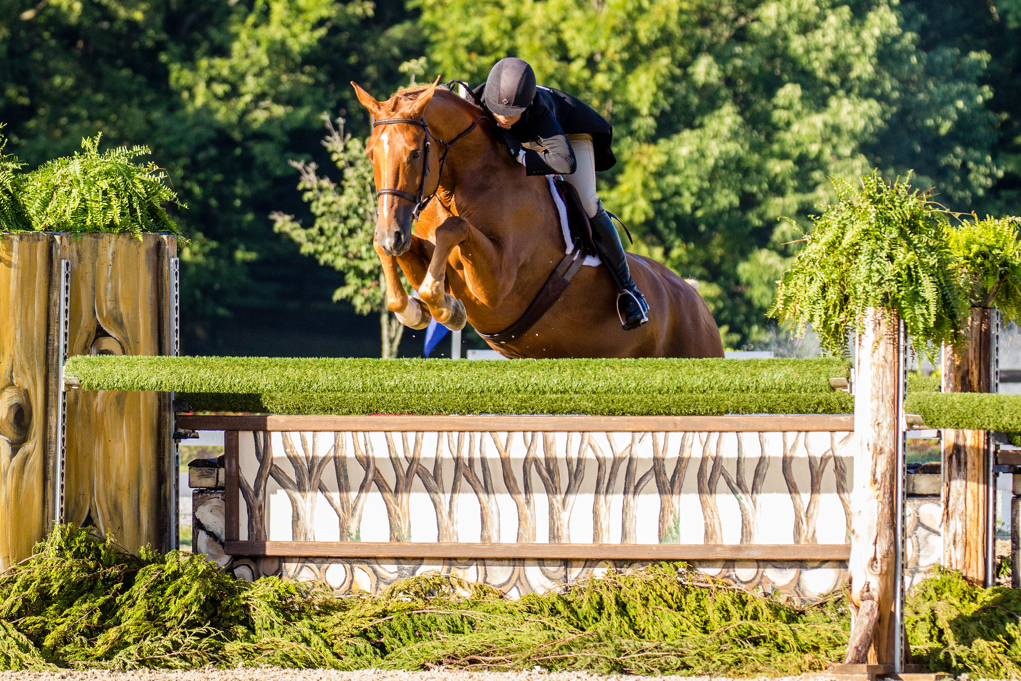 The Cost Barrier: Why Hunters Are Losing Riders to the Jumper Ring ...