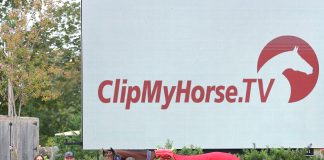 Chaquisto Blue PS: The Right Horse at the Right Time for Havens Schatt Plaidcast Episode 450 Havens Schatt