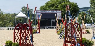 The Plaidchat: Sonja Ochadlik on Pony Jumpers Plaidchat Sonja Ochadlik