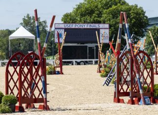 The Plaidchat: Sonja Ochadlik on Pony Jumpers Plaidchat Sonja Ochadlik