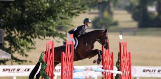 MTM Brando and Klinedinst Take USHJA 3’3″ Adult Jumping Seat Medal Final – East