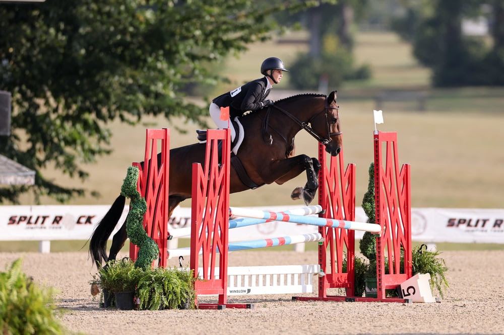 MTM Brando and Klinedinst Take USHJA 3'3 MTM Brando and Klinedinst Take USHJA 3'3