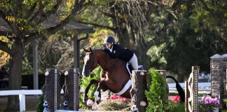 Amateurs Take Center Stage at Inaugural USHJA Amateur Hunter Championships – East