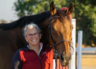Horse Fever: One Lifelong Horse Lover’s Reawakening