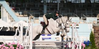 The Plaid Horse Questionnaire With: Cira Pace Malta