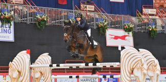 Mistral van de Vogelzang and Clara Propp Clinch Gold Medal in Turnham Green/USEF Junior Jumper National Championship