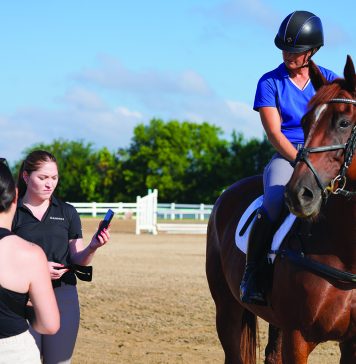 Garmin Enters Equestrian Market With Wearable Technology For Horses