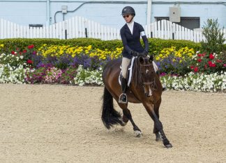 Trainer Tuesday: How do you confidently approach a jump from a short turn with three or fewer strides off the wall without getting weak or over-pulling?