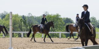 Trainer Tuesday: How do you ask for shape and connection through the bridle from a horse that tends to move behind the leg?