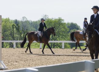 Trainer Tuesday: How do you ask for shape and connection through the bridle from a horse that tends to move behind the leg?