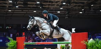 El Jadida: Spectacle, Culture & New Champions by the Sea