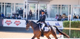 Luke 140 and Boyd Martin Leads in MARS Maryland 5 Star Debut in 5* Dressage Competition