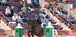 What the Judges Saw: 2025 Dover Saddlery/USEF Hunter Seat Medal Final