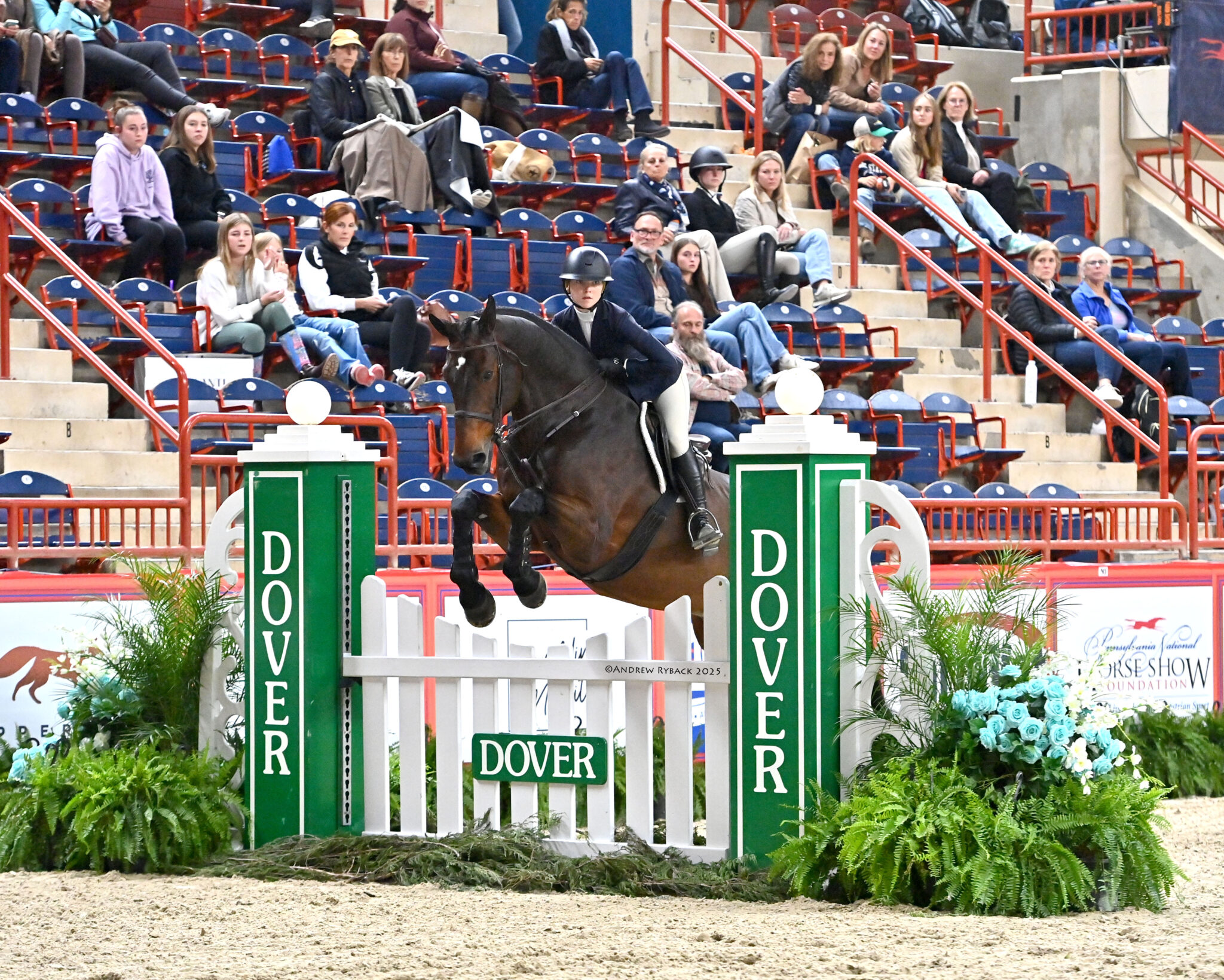 What the Judges Saw: 2025 Dover Saddlery/USEF Hunter Seat Medal Final ...