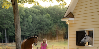 Riding the Digital Wave: The Platform That Bridges Horses and Technology