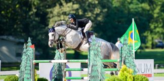 Independent Hands and Independent Seat are The True Goals of Equitation