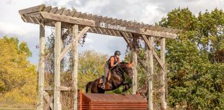 Not Lesser Equestrians: Why Adult Amateurs Deserve More Respect