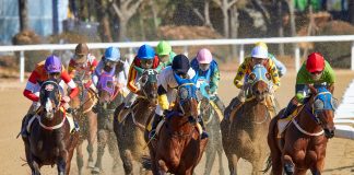 2025 Breeders’ Cup Betting: Odds, Tips, Probables, and More