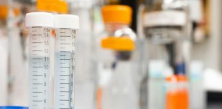 Breakthrough in Gene Editing Offers New Hope for Sickle Cell Patients