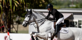 Bolland and Wiener Earn Victory in 2025 Show Jumping Hall of Fame Jumper Classic Series West Conference Finals