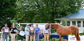 Rockwell FV Takes Sallie B. Wheeler/USEF/USHJA Hunter Breeding National Championships, Presented by Mr. and Mrs. Ernest Oare