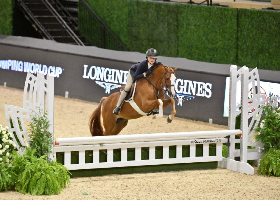  バード  Grouse-FinnFest 2020 Clovermeade Heartthrob and Orchard Hills Firefly Tie for Grand