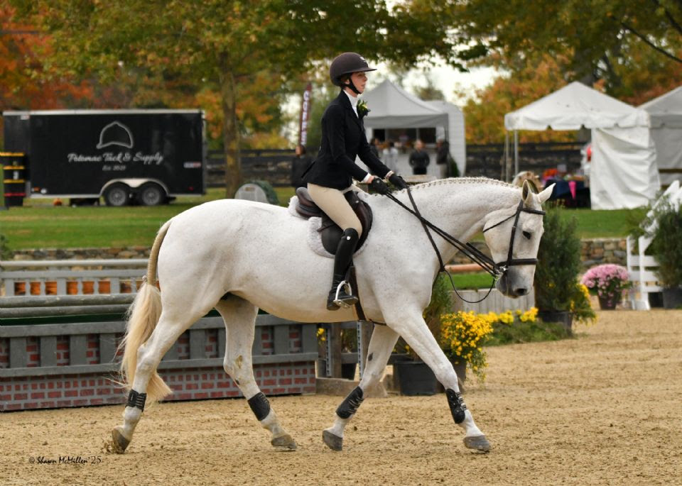 Good squishシュシュLaura Bailey xGS Stallion Good squishシュシュLaura Bailey xGS Stallion