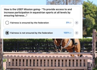 Systems, Policies, and Rules: Rethinking How Governance Shapes Horse Welfare and Competition