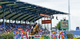 Bringing the Bid Home: Revolutionizing the U.S. Sport-Horse Market with Auctions