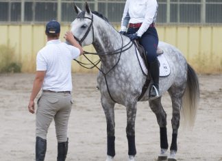 Trainer Tuesday: What is a trait, personality type, or skill in a rider that indicates they could be a great trainer?